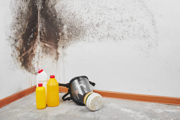 District Heights, MD Mold Removal Company