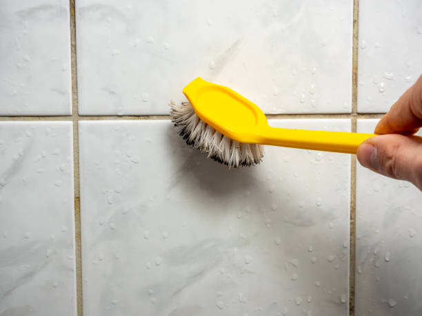 Best Local Mold Removal Service  in District Heights, MD