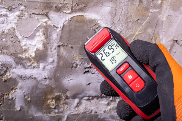 Best Mold Remediation  in District Heights, MD
