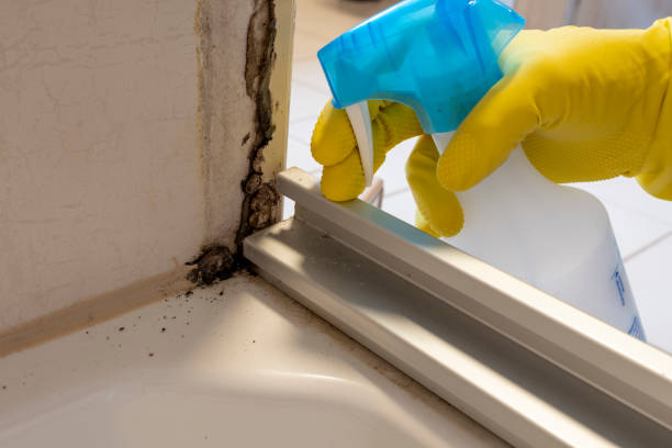 Best Crawl Space Mold Removal  in District Heights, MD