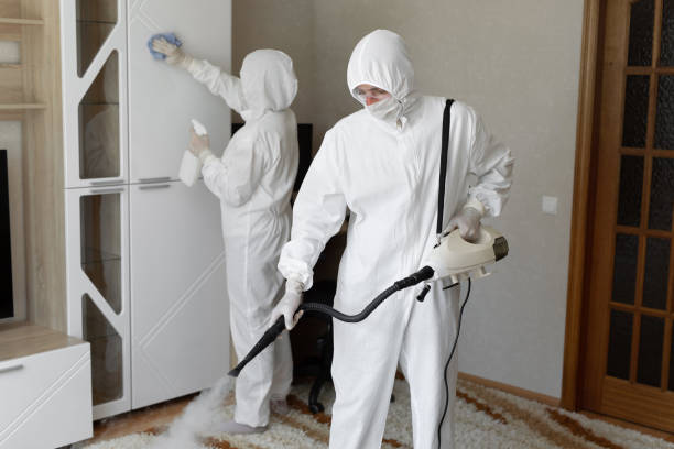Home Mold Removal in District Heights, MD