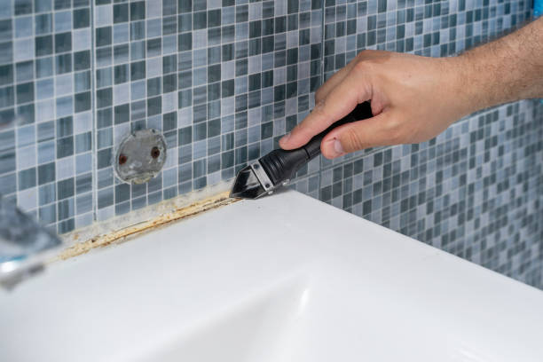 Best Mold Cleaning Services  in District Heights, MD